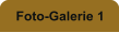 Foto-Galerie 1